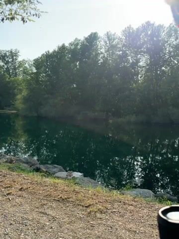 The video shows a man sitting by a calm body of water, likely a river or lake. The man is wearing sunglasses and a t-shirt. He is looking down, seemingly focused on something out of frame. The water is reflecting the lush green trees that line the opposite bank. The sun is shining brightly, creating a lens flare in the video. The environment appears to be a natural setting with trees, grass, and rocks.