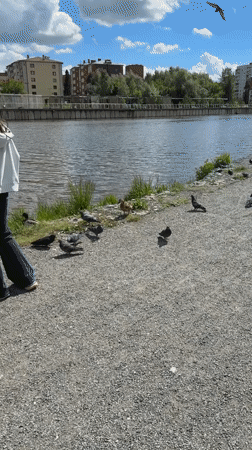 Ordinary summer morning activities documented across Votkinsk city park