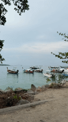 Early morning waterfront activity documented in Rawai, Thailand