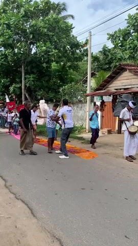 In a street scene, several individuals are actively participating in what appears to be a procession or ceremony. In the foreground, a man wearing a black shirt and a sarong is holding a patterned cloth, likely a rug or tapestry, as he walks along the road. Behind him, a group of men are engaged in arranging a large, colorful fabric spread across the asphalt. Another man, in a white polo shirt with writing on the back, is assisting with this task. To the right, a person in traditional white attire is playing a drum, also moving along the street. In the background, a line of people, including women and children, are walking in procession. Some are carrying red banners. The environment is outdoor, with trees lining the road and buildings on the side, suggesting a village or suburban setting. The sky is cloudy. The overall impression is one of community activity, possibly a cultural or religious event.