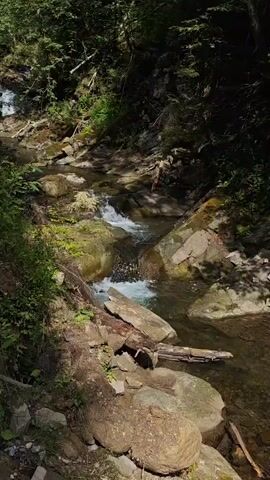 A vertical video shot in natural light shows a narrow, rocky stream flowing through a dense forest. The water is clear and shallow, cascading over stones and creating small white ripples. Lush green vegetation, including moss and ferns, grows on the rocks and along the stream banks. Sunlight filters through the canopy of tall trees, creating patches of light and shadow on the forest floor. The overall impression is one of a peaceful and secluded natural setting. No people or animals are visible in the video.