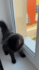 Domestic moments captured in Tobolsk apartment during morning routine