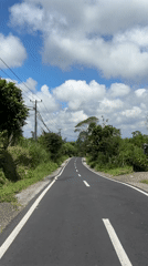 Morning road travel documented in rural Kintamani, Indonesia