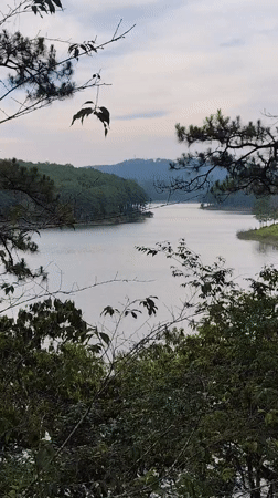 Tourist documents Da Lat lakes, peacocks, resort during morning visit