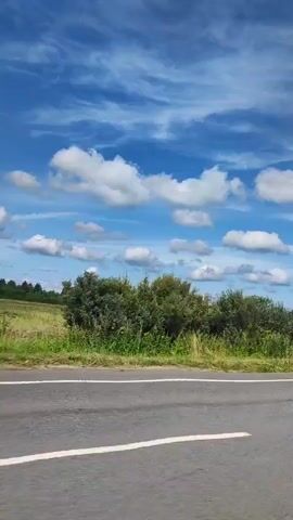 The video shows a side view of a road with white lines. In the background, there is a field of dry grass and a line of trees under a blue sky with white clouds. The camera appears to be moving.