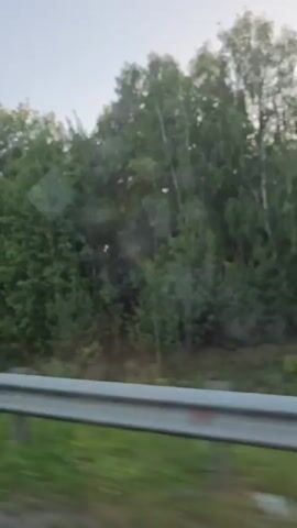 A video shows a roadside view of a forest from a moving vehicle. A metal guardrail is visible in the foreground, with green grass and trees behind it. The trees are a mix of deciduous and coniferous types, with lush green foliage. The sky is overcast. The video is short and does not contain any people or animals. The camera is panning slightly to the left, indicating movement.