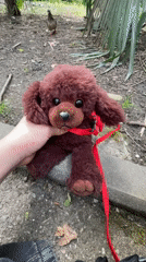 Children play with stuffed animals in Sochi outdoor setting