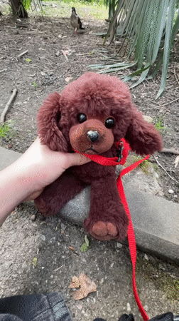 Children play with stuffed animals in Sochi outdoor setting