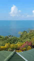 Morning scenes documented across Ko Samui coastal areas