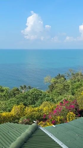 Morning scenes documented across Ko Samui coastal areas