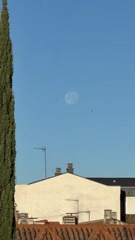 A daytime video shows a tall green tree on the left side of the frame. In the center of the frame, a pale full moon is visible in a clear blue sky. Below the moon, the white facade of a building with two chimneys is visible. Several antennas are attached to the building, and another building with a dark roof is partially visible to the right. In the foreground, the orange tiled roof of a building is visible. A few small dark objects, possibly birds, are scattered in the sky. The video appears to be static, with no discernible movement apart from subtle atmospheric shifts or minor camera shake.