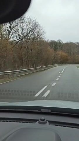 The video shows a car driving on a curved, two-lane road. The road has a metal guardrail on the side and is bordered by trees without leaves. The sky is overcast. The view is from inside the car, showing the dashboard and windshield.
