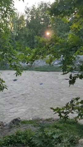 The video shows a natural scene with a river flowing in the foreground. The river is wide and appears to be shallow, with a sandy bottom and some rocks visible. The water is a murky brown color, indicating it may be carrying sediment. The riverbanks are lined with green vegetation, including trees and bushes. In the background, more trees and foliage create a dense forest. The sun is visible through the leaves of a tree in the middle of the frame, creating a lens flare and illuminating the scene with a warm glow. The overall impression is of a peaceful, natural environment. There are no people or animals visible in the video. The camera appears to be stationary, capturing a still shot of the landscape.