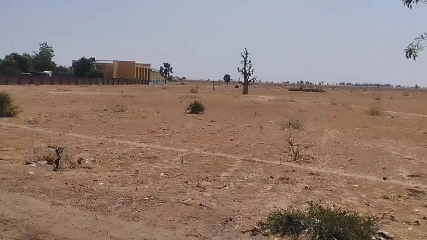 Here is a concise description of the video:

The video depicts a rural road, filmed from a moving vehicle. On one side of the road, there's a concrete fence bordering a property with trees and some structures. On the other side of the road, the landscape appears dry and dusty. Power lines run along the road, supported by wooden poles. A motorcycle can be seen moving in the same direction. The sky is clear and blue, suggesting a sunny day.