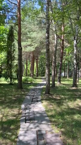 A video displays a stone pathway winding through a park or wooded area. The path is constructed from irregularly shaped gray stones, with some stones appearing cracked or uneven. Tall trees, primarily with slender trunks and lush green canopies, flank the pathway on both sides. The ground alongside the path is covered in grass and dappled with sunlight filtering through the leaves, creating a shaded and serene atmosphere. The perspective suggests a slow-moving camera, possibly walking along the path, observing the natural surroundings. The scene is devoid of any human presence or other discernible objects besides the natural elements and the pathway.