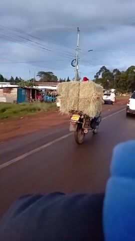 From the perspective of someone on a motorcycle, the video shows another motorcycle heavily laden with hay, moving on a paved road.  The heavily loaded motorcycle is traveling in the same direction, with cars and pedestrians visible alongside the road. Buildings and power lines are in the background, with a cloudy sky above.