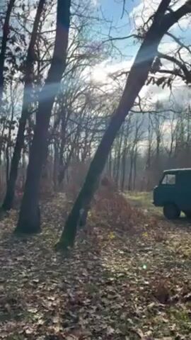 The video shows a group of people in a wooded area. They are gathered around a picnic table. Most of them are wearing orange hats or vests. Some of them are holding rifles. The ground is covered in leaves. The trees are bare. The sun is shining through the trees.