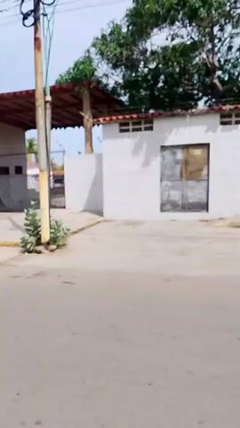 A handheld video shows a street in front of a gated community. The road is made of asphalt, and there are sidewalks on either side. The gate is black and leads into the community. A small white building with a red roof is located next to the gate. Palm trees and other greenery can be seen inside the gate. Power lines run overhead.