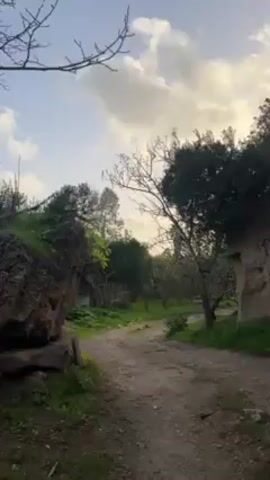 The video shows a dirt road meandering through a grove of trees and foliage, with glimpses of a partly cloudy sky. On the left side of the road, there is a large rock formation covered with moss or greenery. On the right side, there is another rock formation. The trees along the road vary in size and fullness, with some appearing bare. The road itself has patches of green vegetation growing along the edges. The light suggests it is either early morning or late afternoon. There are no visible people or animals in the shot.