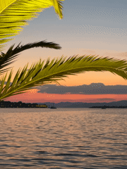 Sunset over calm Fethiye waters, framed by palm fronds