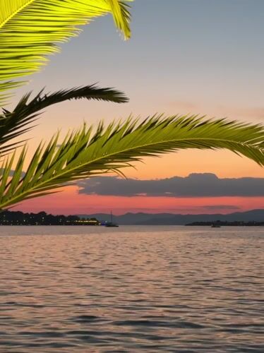 Sunset over calm Fethiye waters, framed by palm fronds
