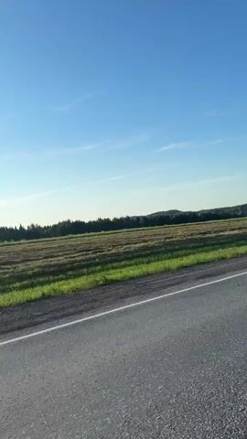 The video shows a view from a vehicle traveling on a paved road. The road has a white line marking the edge. To the right of the road is a field that appears to be recently mowed, with green grass along the edge and dry hay or stubble further back. Beyond the field is a line of trees, and in the distance, there are rolling hills. The sky is clear and blue with a few wispy white clouds. The lighting suggests it is daytime, likely morning or afternoon. There are no people or other vehicles clearly visible in the frame. The video appears to be a stationary recording or a very slow movement, as the perspective does not shift significantly.