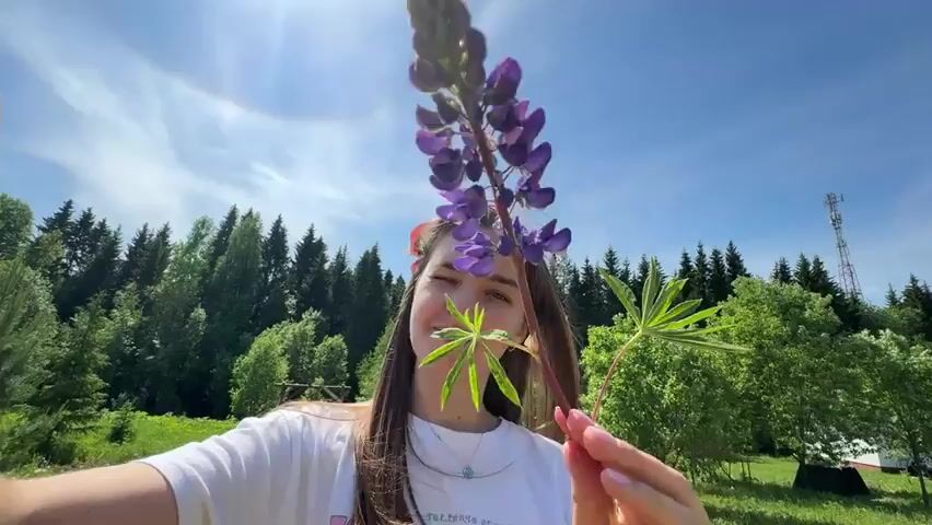 A young woman holds up a purple lupine flower in front of her face, partially obscuring one eye. She is standing in a grassy field on a sunny day, with a forest backdrop and a tall communication tower visible in the distance. The sky is blue with a faint solar halo visible. She wears a white t-shirt and a necklace. She appears to be taking a selfie.