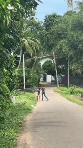 This media file captures a scene on a paved road in Karandugoda, Sri Lanka. Two young people are the central subjects, standing on the side of the road amidst lush greenery and palm trees. One person, wearing a dark shirt and shorts, appears to be holding up a large, dark, flat object, possibly a kite or a board, with both hands. The other person, dressed in a lighter colored shirt and shorts, is standing close by, looking towards the object.

The setting is outdoors, characterized by abundant vegetation, including large trees and bushes lining the road. The sky is overcast, suggesting a cloudy day, possibly humid given the tropical environment. Power lines are visible crisscrossing above the road, and a white building with a light-colored roof is partially visible in the background, suggesting a residential area.

The interaction between the two individuals seems playful or engaged, perhaps in the process of launching or preparing the object they are holding. There is no visible text in the media file. The overall impression is of a casual, everyday moment in a tropical rural or semi-rural setting.