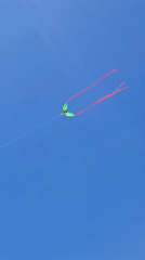 Green Butterfly Kite with Red Streamers Spotted Over Solana Beach