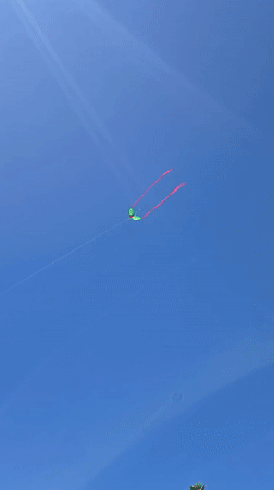 Green Butterfly Kite with Red Streamers Spotted Over Solana Beach