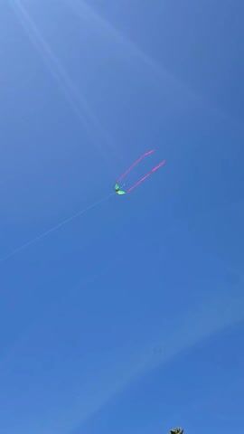 The video shows a green kite with red streamers flying high in a clear blue sky. The kite is shaped like a butterfly or dragonfly, with two long, red streamers trailing behind it. The kite is connected to the ground by a thin white string. The sky is a uniform, bright blue.