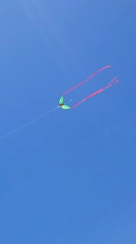 Green Butterfly Kite with Red Streamers Spotted Over Solana Beach