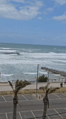 Surfer braves choppy waves at Tel Aviv beach Monday morning