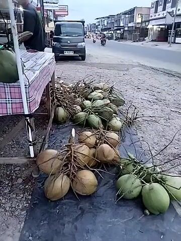 A street scene featuring a coconut vendor's stand. Numerous coconuts, some green and some brown, are displayed on the ground next to the stand, as well as a few on top of it. A man in a cap is seen standing behind the stand. Another person is visible in the act of retrieving something from the stand. A street with passing vehicles forms the backdrop.