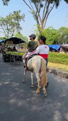 The video shows a young boy wearing a dark blue t-shirt and a tan baseball cap riding a light-colored horse. He is wearing shorts and white socks. A man wearing a white t-shirt with red and black accents is walking behind the horse, with his right hand on the horse's rump, appearing to guide it. The horse is walking on an asphalt road. To the left of the horse, there is a roadside stall selling fruits, with a sign that appears to say "ALPUKAT MENTEGA". The stall has a black frame and a dark canopy. Several large green fruits, possibly melons or avocados, are visible on the stall. A person in a blue t-shirt is near the back of the stall, pushing a cart. Further down the road, a mosque with a green dome and minarets is visible. There are other people and vehicles in the background, suggesting a busy outdoor market or street scene. The lighting indicates it is daytime with a clear sky. The camera is positioned behind the man and horse, following them as they move along the road.