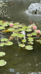 Tranquil park scenes captured in Ramat Gan
