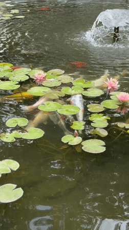 Tranquil park scenes captured in Ramat Gan