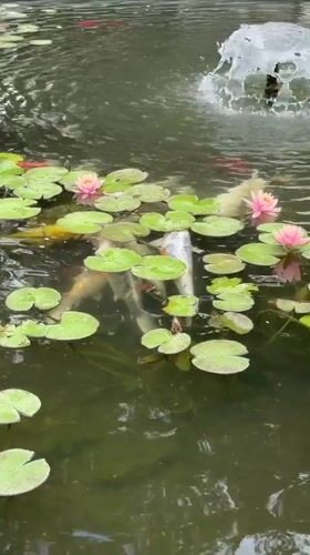Tranquil park scenes captured in Ramat Gan