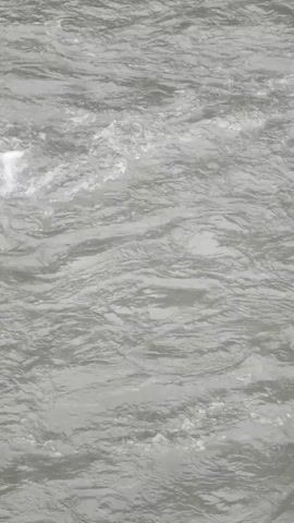 The video shows a close-up, overhead view of water. The water appears to be moving and turbulent, with some whitewater and ripples visible. The color of the water is a muted gray, suggesting it may be a river or stream, possibly with sediment or overcast lighting. There are no people, objects, or other elements visible in the frame, focusing solely on the texture and motion of the water.