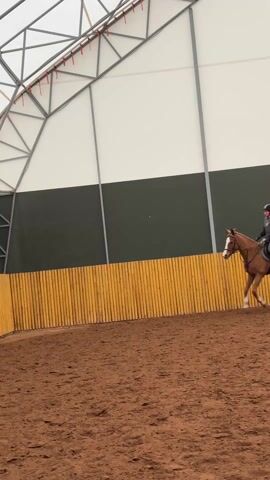 A young woman in a riding helmet, vest, and riding pants is riding a chestnut horse inside an indoor arena. The horse is moving forward at a walk or trot along the yellow wooden fencing of the arena. The arena has a large, translucent roof supported by a metal framework and dark green walls above the fencing. The footing of the arena is brown dirt.