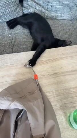 A black cat is lying on its side on a grey sofa, with its body stretched out over the edge of a wooden table. The cat is reaching out with its front paws, one of which is extended towards a tan jacket hanging from the table. The cat's claws are visible, and it appears to be playing with the jacket's pull tab. The background shows a blurry grey sofa and a wooden table.