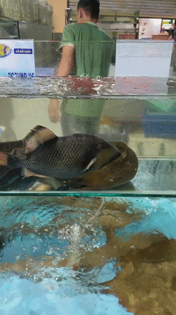 Seafood market and beach scenes documented in Nha Trang