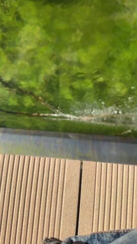 The camera is positioned next to what appears to be a deck made of light brown wooden planks, focusing on a pool of water. The water surface is textured with ripples, possibly from a gentle flow or breeze, and has a green tint, suggesting either algae growth or the reflection of surrounding foliage. A thin, dark branch or object is visible partially submerged in the water, running horizontally across the frame. The water's edge is bordered by a gray rim or structure. In the lower right corner of the frame, a hint of blue denim fabric is visible. The overall composition is static, with the only movement being the gentle undulation of the water.