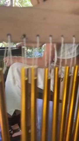 The video shows a group of people playing various percussion instruments in what appears to be an outdoor setting, possibly a garden or a sheltered area with lush greenery visible in the background. The focus is on a collection of instruments arranged on a wooden structure. In the foreground, a person's hand is seen playing a djembe drum. Adjacent to the drum, a glockenspiel with golden metal bars hangs from a wooden frame. Further back, a child wearing a dark t-shirt and a baseball cap is visible, looking towards the instruments. Another person, partially visible in the background, is also interacting with the musical setup. The scene is dynamic, with movement captured throughout the short video clip, suggesting an impromptu musical session. The lighting indicates it is daytime, with natural light filtering through the foliage.