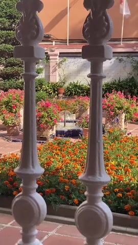 A video shows a garden courtyard with a fountain in the background, framed by two white decorative posts. The foreground is dominated by a dense bed of orange marigolds. Behind the marigolds, there are potted pink flowers. The fountain has water spraying upwards. The ground is paved with reddish-brown tiles. The background shows a building with an orange facade and some greenery. A white flag with a red emblem is visible on the right side of the frame. The lighting suggests it is daytime with some shadows present. The overall scene depicts a peaceful and colorful garden setting.