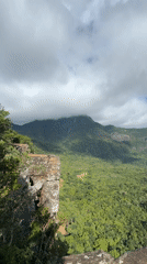 Mountainous forest vista recorded from cliff in Sri Lanka