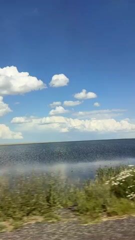 The video captures a wide shot of a large body of water under a bright blue sky filled with white, fluffy clouds. The water appears dark and slightly rippled, reflecting the sky. In the foreground, there is a band of green and yellow grass and some white wildflowers, suggesting a roadside or natural embankment. The camera seems to be in motion, likely from a vehicle, as the foreground elements are blurred and streaked, creating a sense of movement along the scene. A dark object, possibly a bird or a duck, is briefly visible swimming on the water's surface. The overall impression is a serene, natural landscape.
