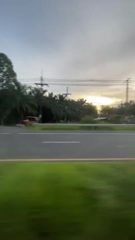 This is a vertical, slightly blurry, motion-shot video of a road passing by on a cloudy day, possibly at dusk or dawn. In the foreground, a blurry expanse of bright green grass runs horizontally across the bottom of the frame. Beyond the grass is a paved road with a white line marking the lane. On the other side of the road, there is a white guardrail, followed by a dense line of palm trees and other foliage. A tall, thin tree with a full canopy stands to the left of the palm trees. A few utility poles and wires are visible above the trees. In the distance, on the far side of the road, a red tractor is partially visible. As the video progresses, a blue and white tuk-tuk appears, followed by a motorcycle with a rider. A yellow house is also visible behind the palm trees on the right side of the frame. The sky is overcast with a hint of light breaking through on the right, suggesting the sun is low on the horizon.