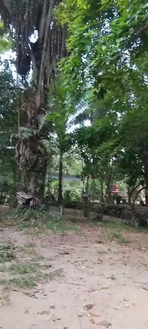 The video shows an outdoor scene with trees and foliage. In the center of the frame, there is a sign hanging from a tree that reads "OUTBOUND". The ground is covered in dirt and leaves, suggesting a natural or park-like environment. There are glimpses of what appear to be structures or equipment in the background, partially obscured by the vegetation. The lighting suggests it is daytime. No people are clearly visible in the frame.