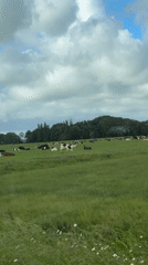 Morning Drive Through Rural Highway Corridor Documented by Travelers